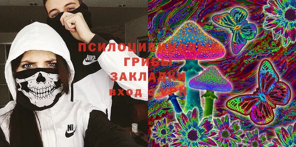 jwh Белокуриха
