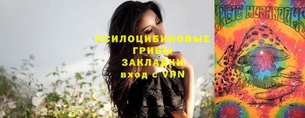 jwh Белокуриха