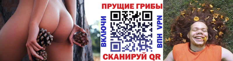 Купить закладки  Лыткарино  Галлюциногенные грибы мухоморы 